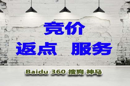 百度SEO优化公司案例：打造品牌网络曝光新高度